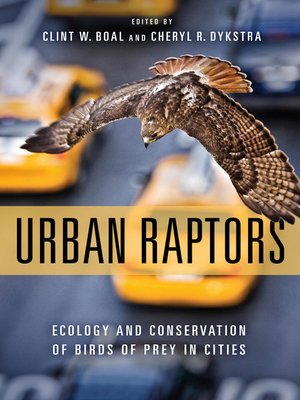 cover image of Urban Raptors